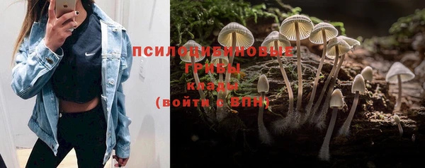 spice Балабаново